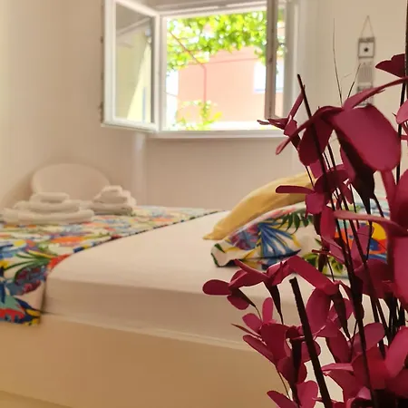 Spalatos 스플리트